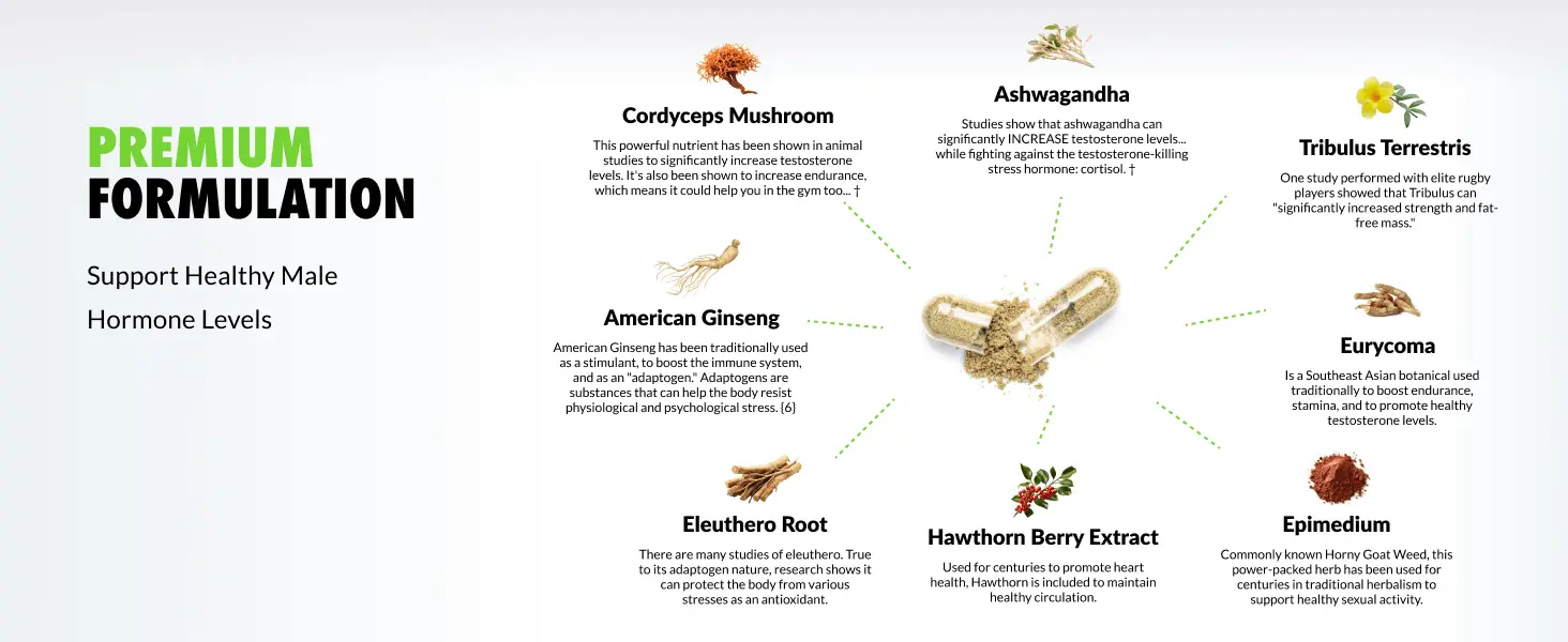 test boost max ingredients